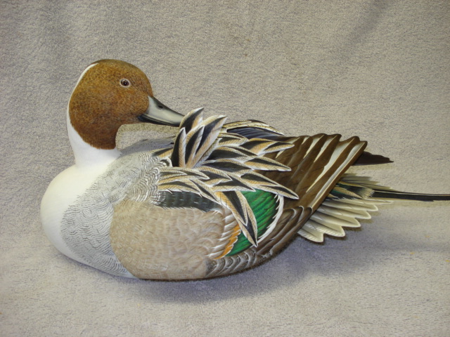 Waterfowl Decoy