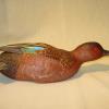 Cinnamon Teal Drake 4