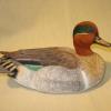 Greenwinged Teal..1