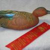 Cinnamon  Teal Drake