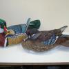 Woodduck Pair