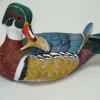 Woodduck Drake