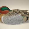 Greenwing Teal 2