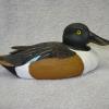 Shoveler