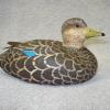 min Blackduck