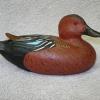 min Cinnamon Teal