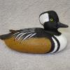 min Hooded Merganser