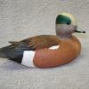 min Widgeon