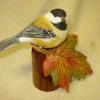 Blackcapped Chickadee  on fall leaf Basswood