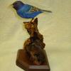 Indigo Bunting..2