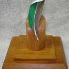 Greenwinged Teal Drake Feather