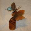 Pipevine Butterfly on wood leaf